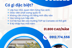 BƯỚC ĐỆM VỮNG CHẮC ĐỂ ĐI DU HỌC CANADA CÙNG NEWTON INTERNATIONAL COLLEGE! ????????